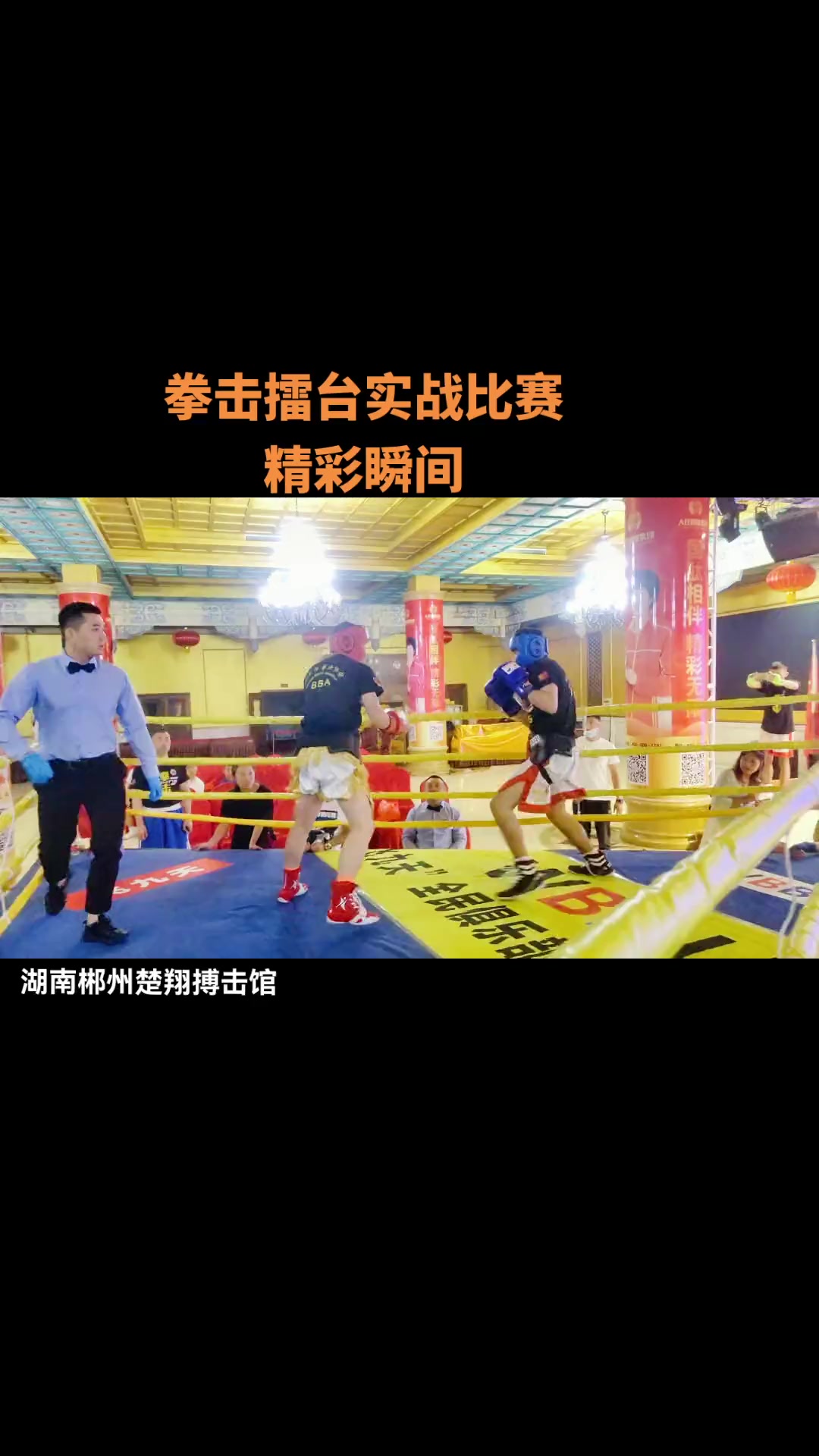 拳击小组赛落幕，强队悉数晋级
