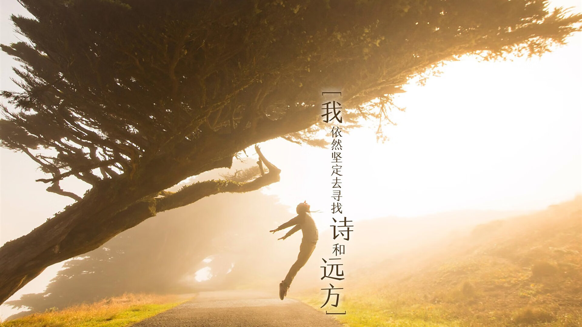 战袍颜色之外的星辰，恩佐的压制级发挥与足球的永恒对话