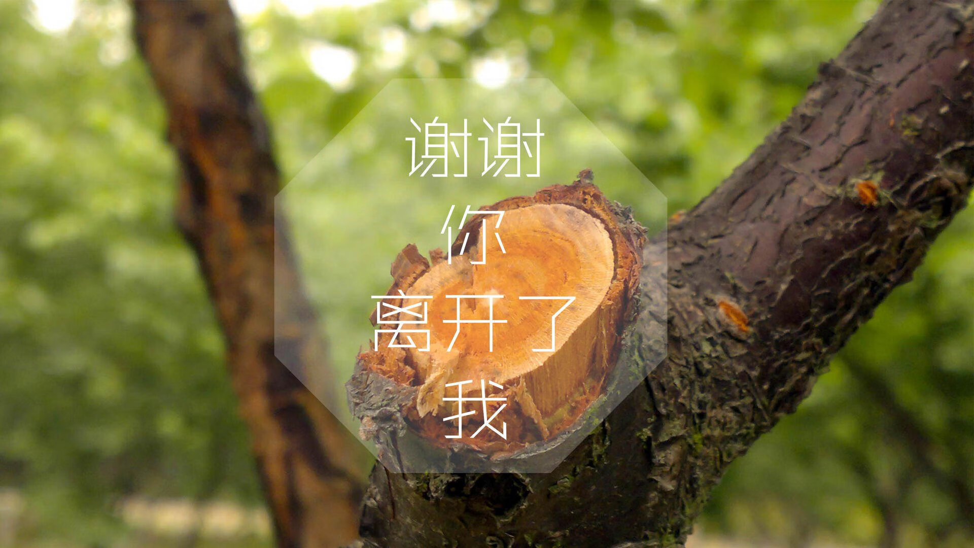 铁翼与雄狮，格纳布里打破质疑，里昂展现欧战雄心的双重证明