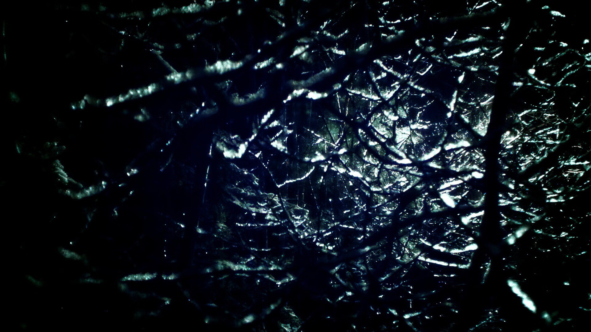 世代对决夜,文班亚马超越约基奇,一场比赛定义两个时代