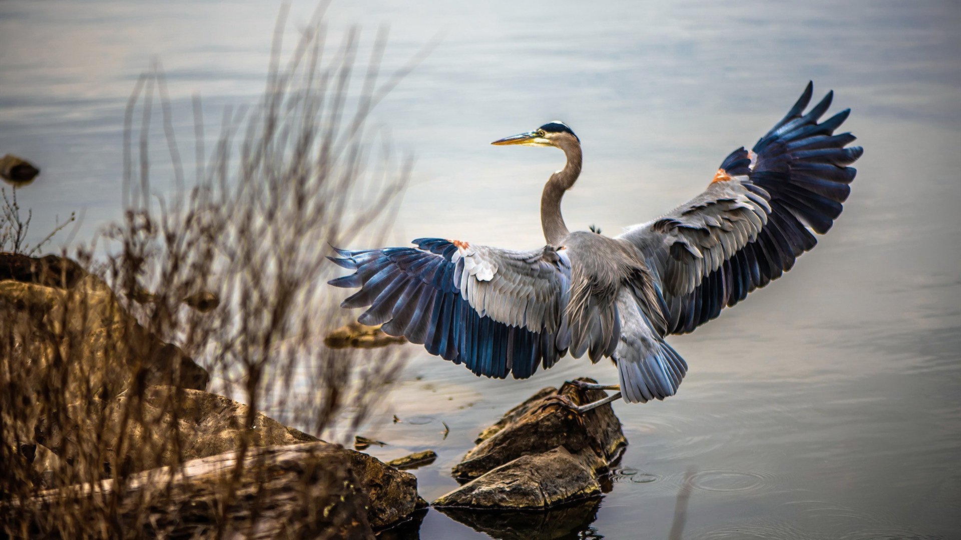 唯一证人,卢卡库与那粒终结心魔的点球