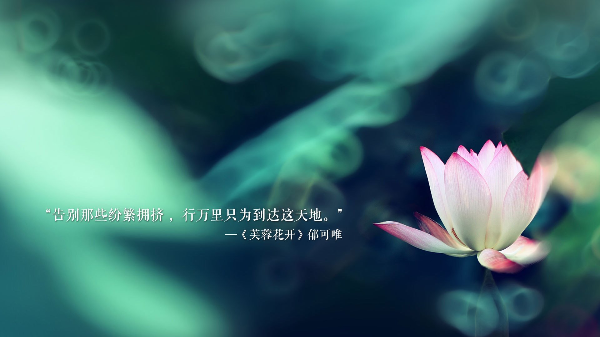 一剑封喉与铁壁铜墙，一文读懂何为真正的大场面先生