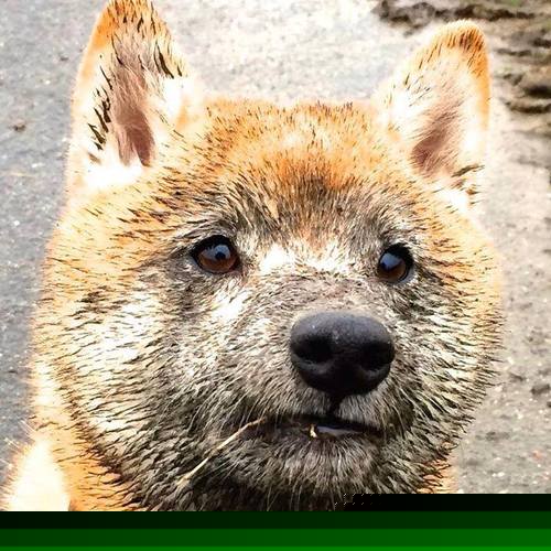 现代篮球的蓄力与收割，从雄鹿单节爆发到詹姆斯总决赛接管