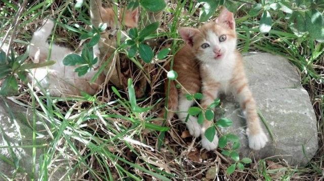 寂静的剑,与他的破晓之时