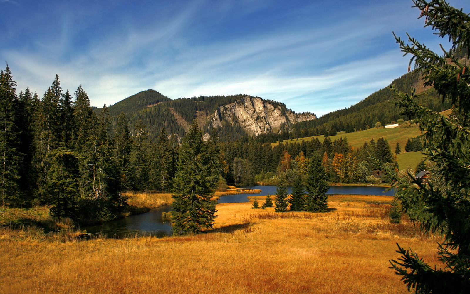 冰与火的博弈,西亚卡姆的钢铁防线,如何让开拓者的烈焰无声熄灭?