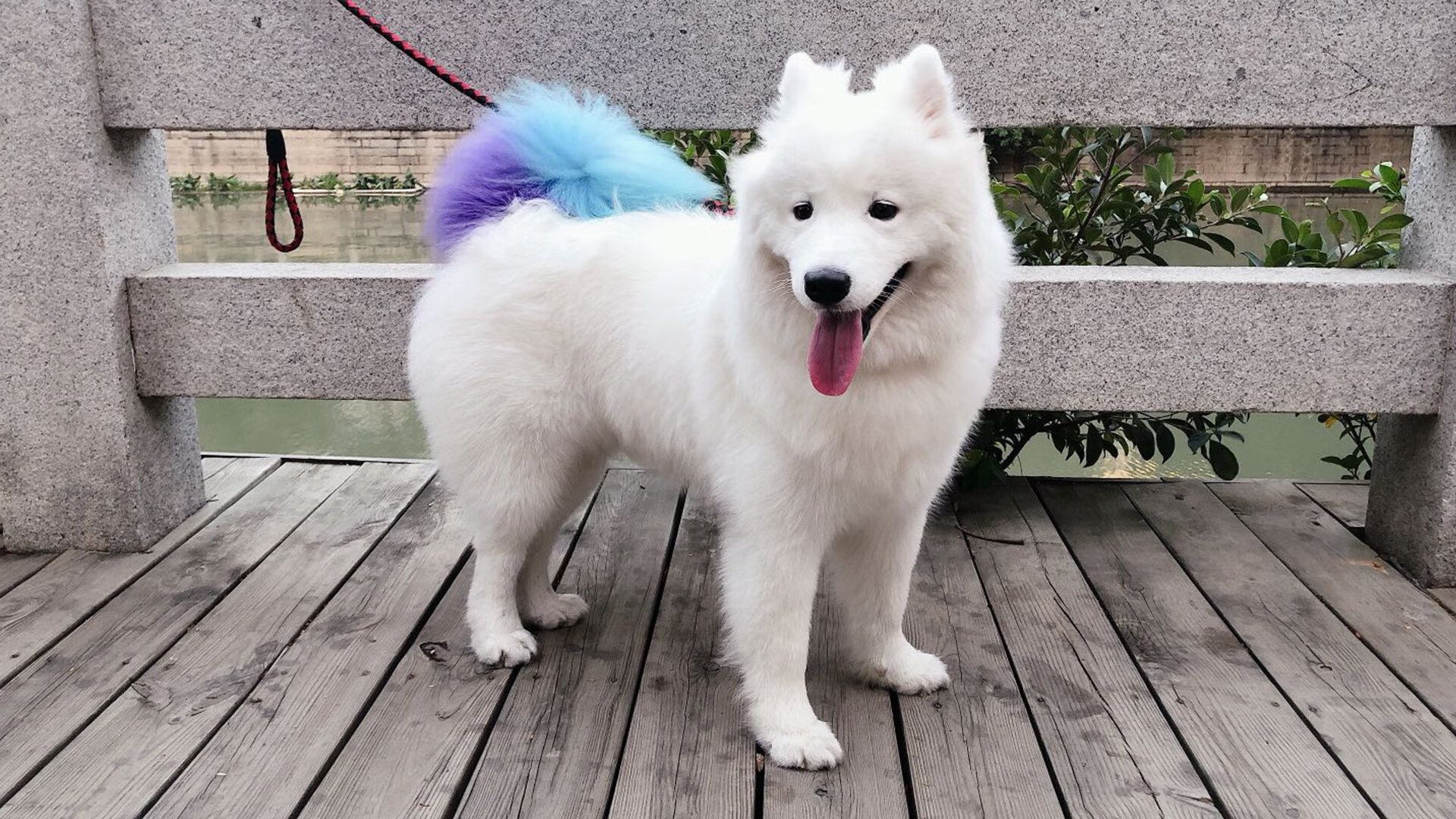 青春逆鳞刺穿铁血王朝,抢七夜,活塞用23记三分埋葬热火时代