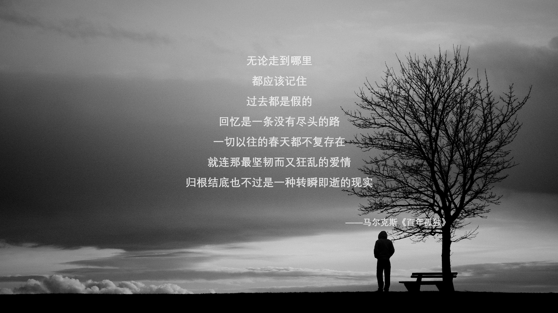 他翱翔于天际,他们在大地上编织罗网,足球的两种天才