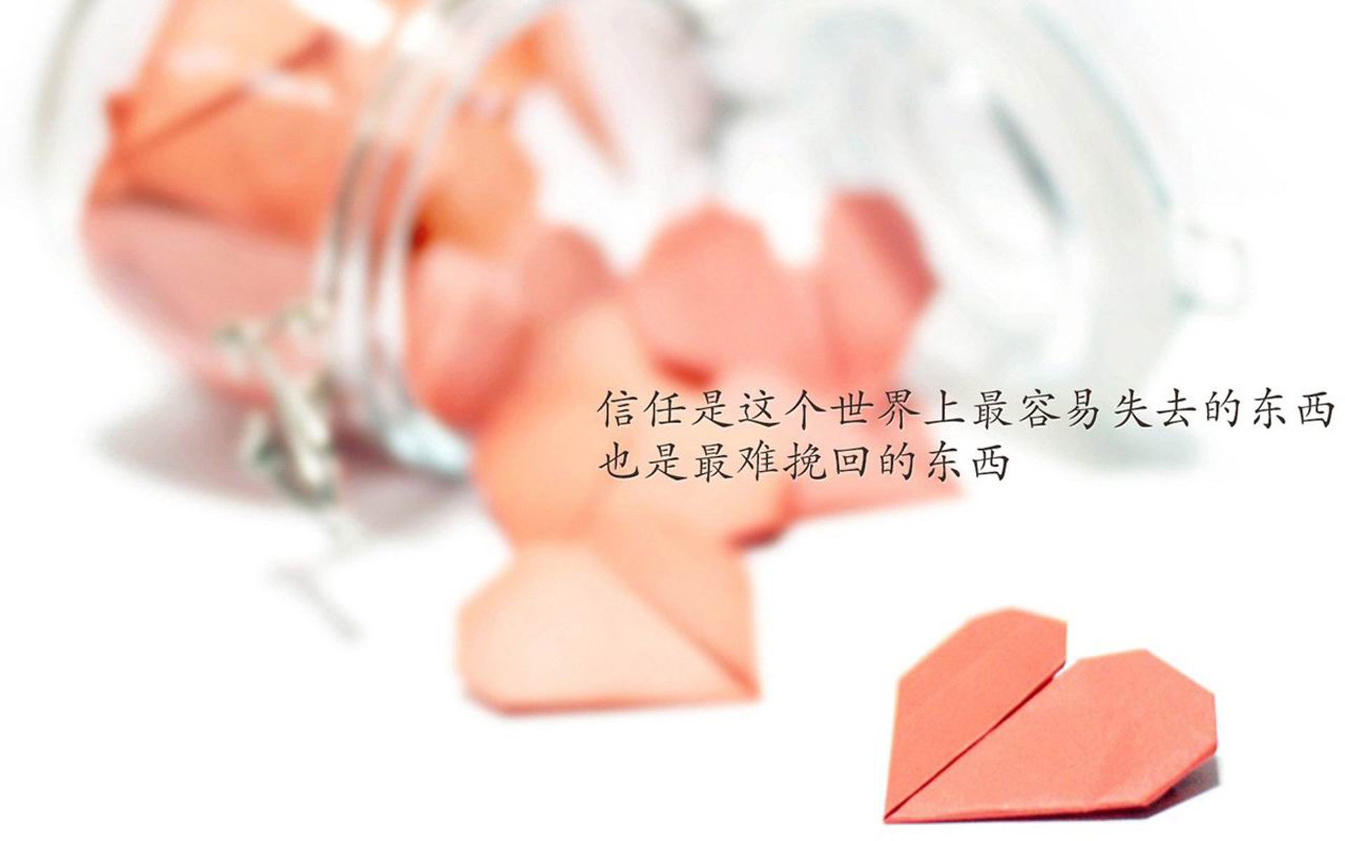 2026世界杯E组怪象,当保加利亚用铁幕封印摩洛哥,福登的匕首为何最致命?