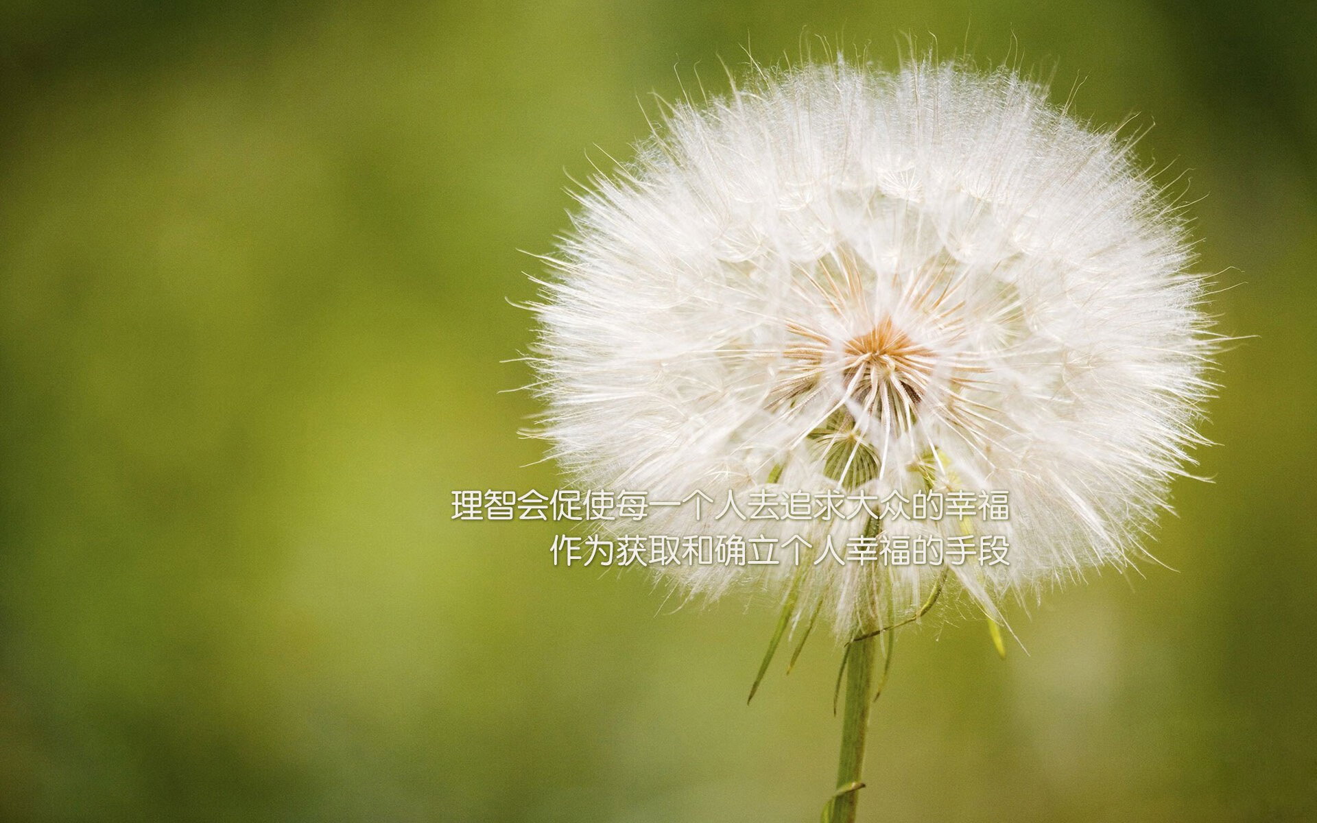 开云体育-脚法如魔术师的手套，战略如精密的磨盘，匈牙利如何用非典型萨卡，碾碎美国足球的星辰大海