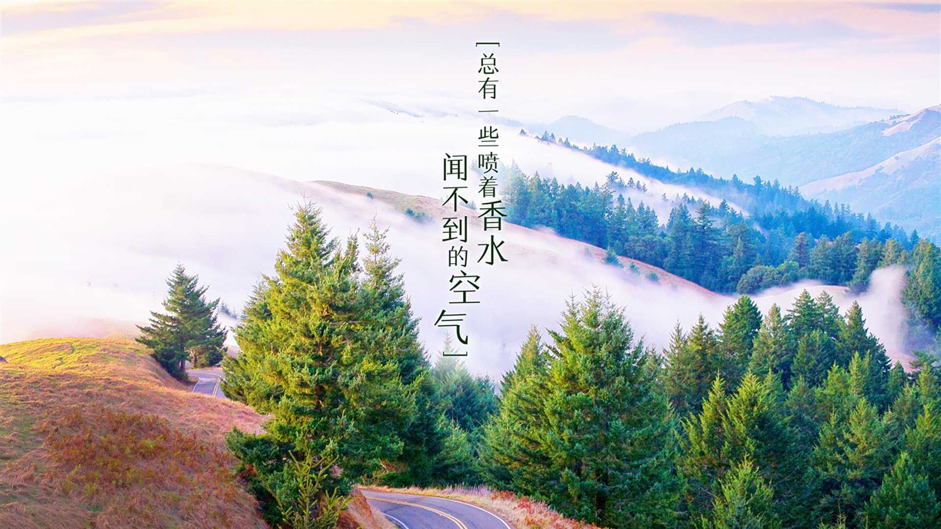 东亚德比的极致变奏，当日本足球的精密齿轮咬碎太极虎，坎塞洛如何用节奏写下唯一的世界杯寓言