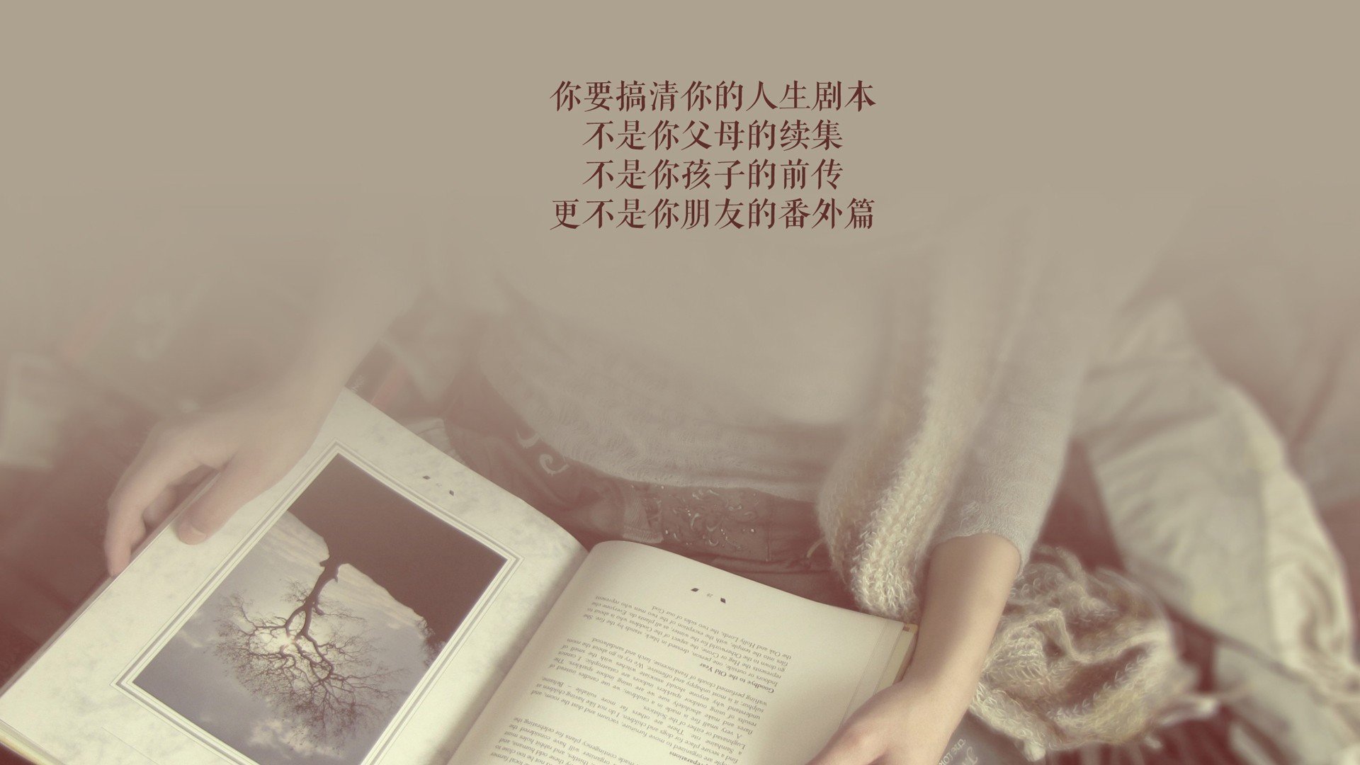 以下是基于此构思创作的文章