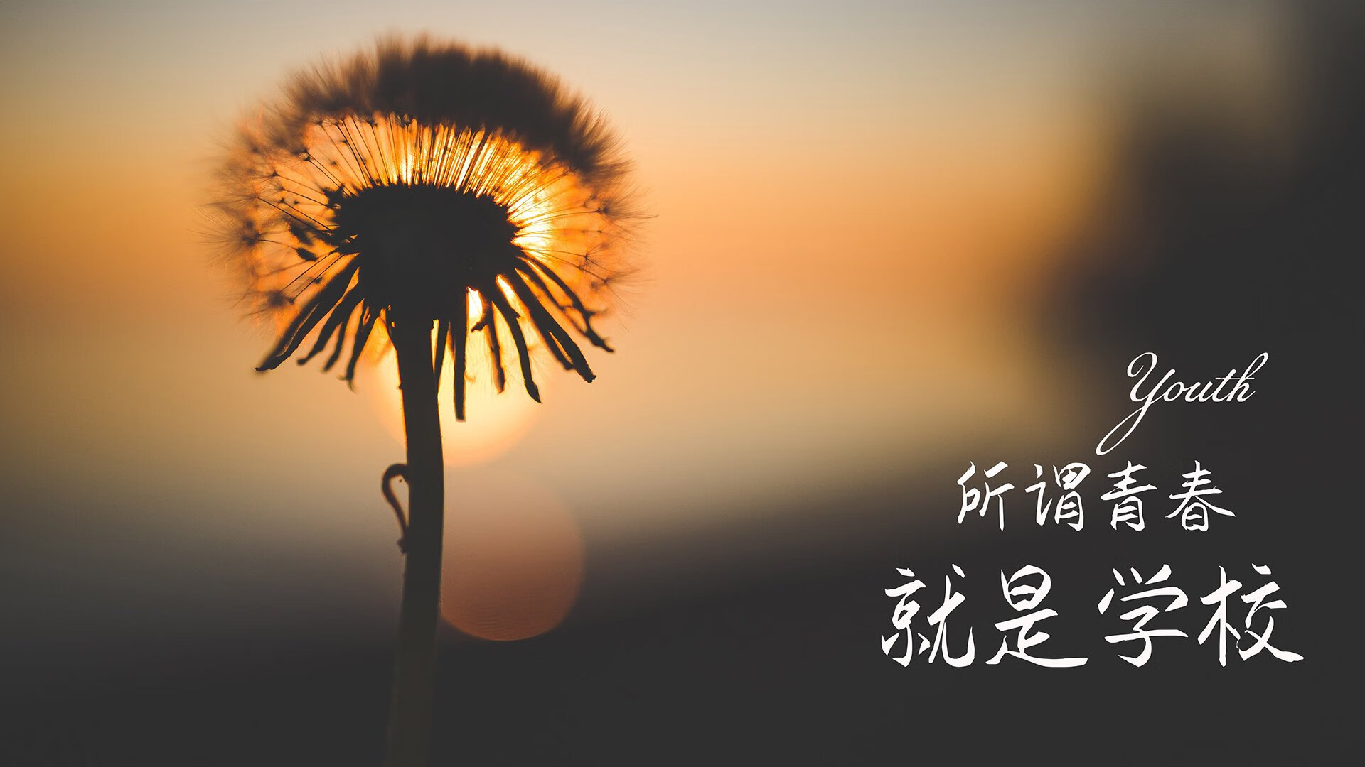 以下是为您构思的标题和文章